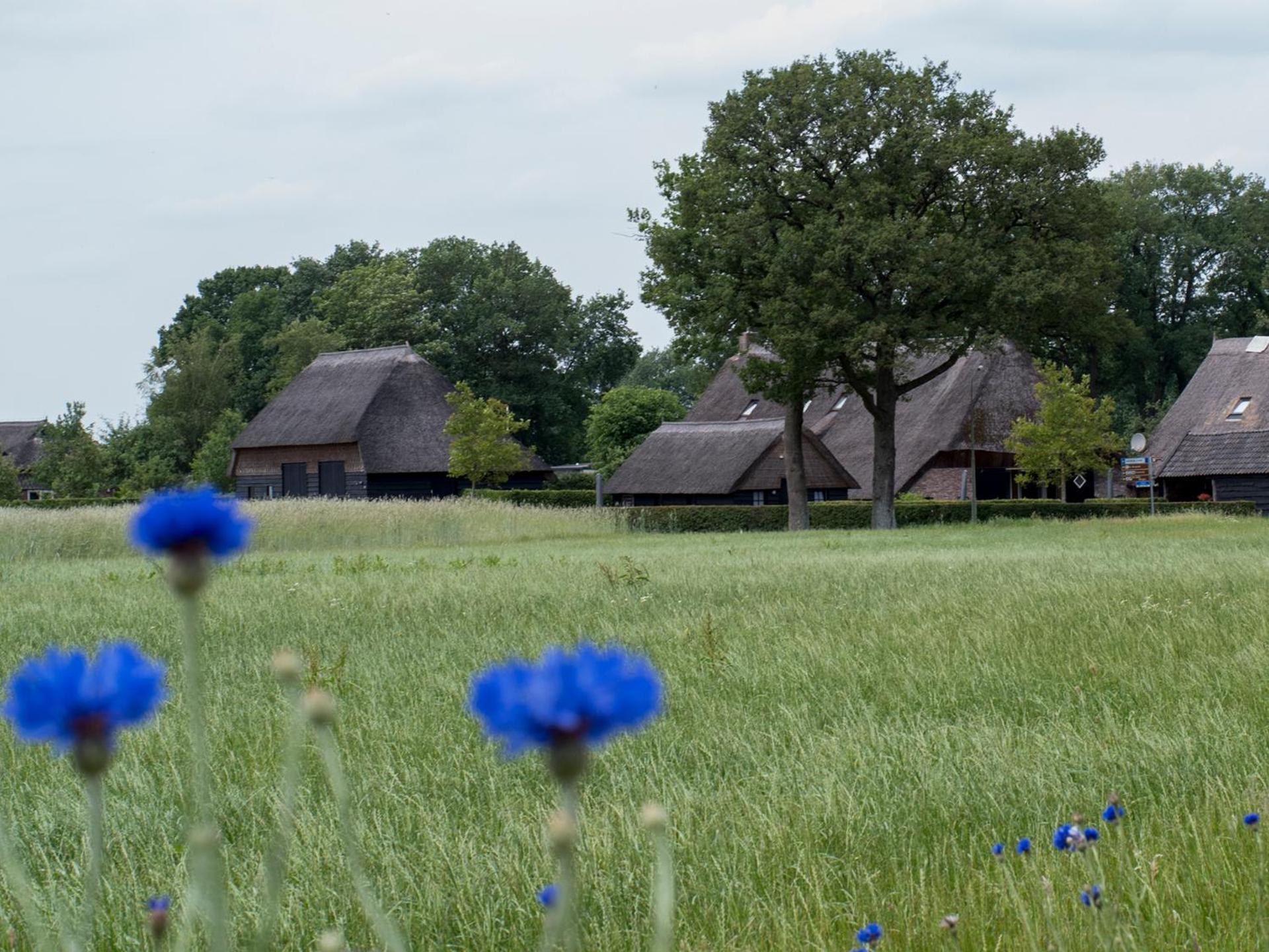 Gastenverblijf Lheederhof Dwingeloo Exterior foto